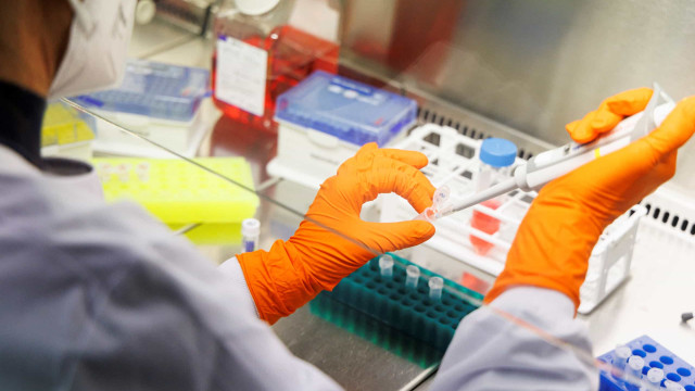 Brasil faz 8.850 testes de varíola dos macacos
