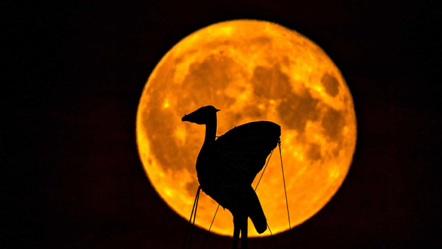 As imagens da primeira Super Lua do ano