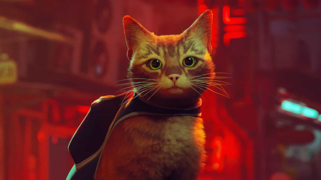 'Stray', o jogo onde controla um gato, vai chegar à Xbox