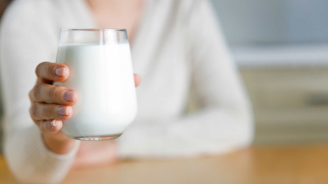 Sabia que leite de cabra possui 12% menos lactose do que o leite de vaca?