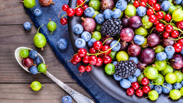 Quer preservar a memória? Aposte em alimentos ricos em antioxidantes