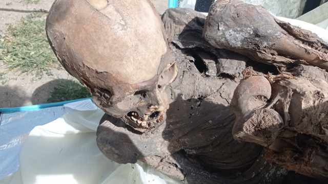 Múmia com mais de 600 anos encontrada em mochila de entregador no Peru