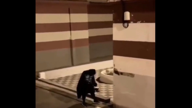 'Batman' apaga linhas de estacionamento em ilha na Espanha; veja