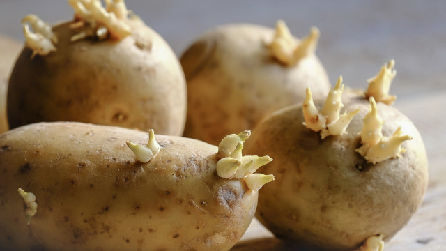 Conhece esta dica que faz com que as batatas durem mais tempo?