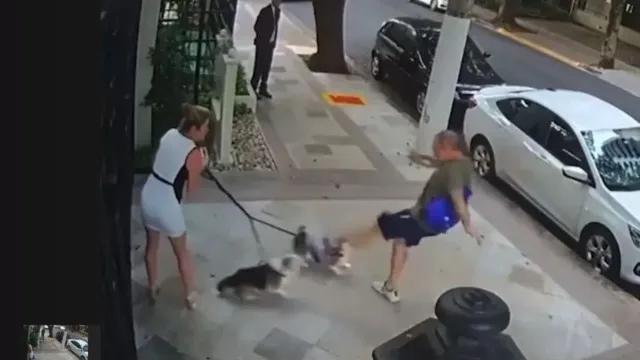 
                    Justiça condena aposentado por agredir cães de irmã do ministro Zanin, do STF
                