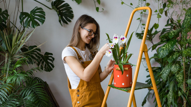 Como manter suas plantas vivas quando você estiver viajando