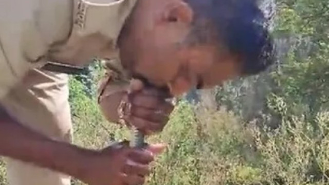 Policial salva cobra venenosa com respiração boca a boca