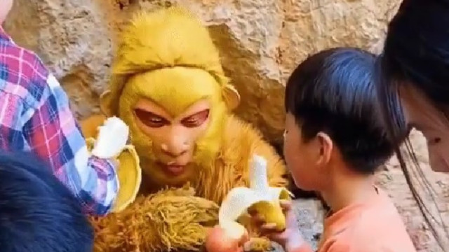 Chineses recebem R$6,8mil para se vestirem de macacos e serem alimentados