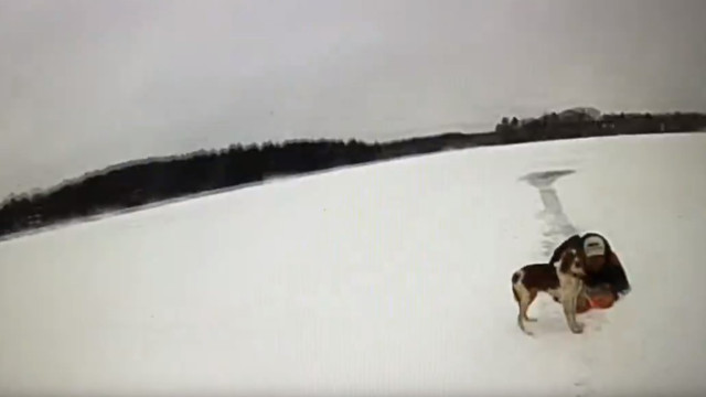 Cão resgata dono de lago congelado com a ajuda da polícia nos EUA