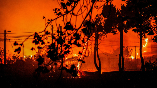 Mortes provocadas por incêndios florestais no Chile superam 120
