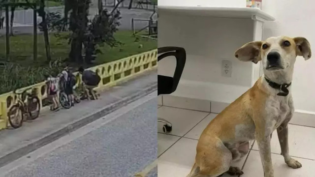 Mãe joga cachorro de ponte na frente dos filhos menores em Joiville