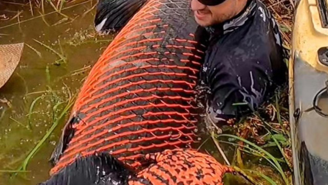 Homem pesca peixe com mais de dois metros e 130 quilos em Rondônia