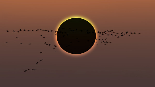 Eclipse total do sol acontece nesta segunda; saiba como ver pela internet