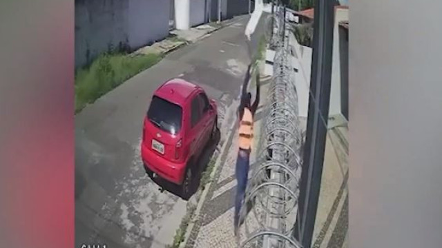 Vídeo: entregador arremessa encomendas por cima de muro e danifica cerca