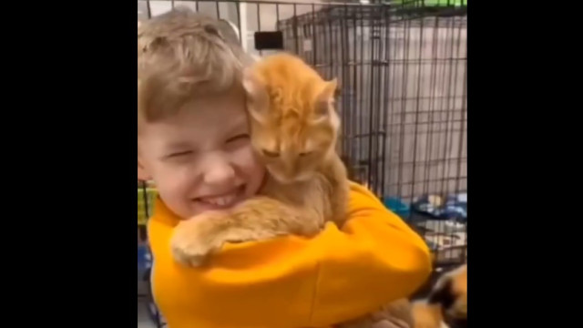 A adoção emocionante de um gato que "escolheu" o novo dono
