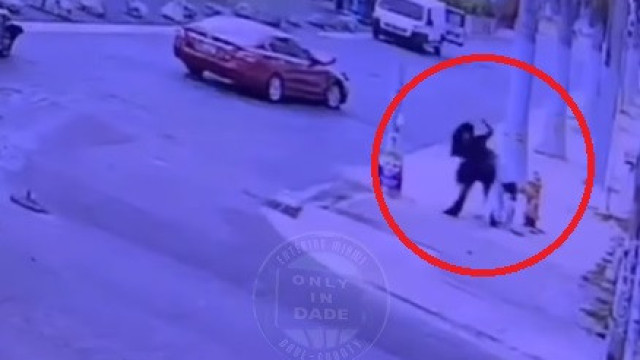 Mulher persegue ladrão e provoca acidente para reaver bolsa roubada