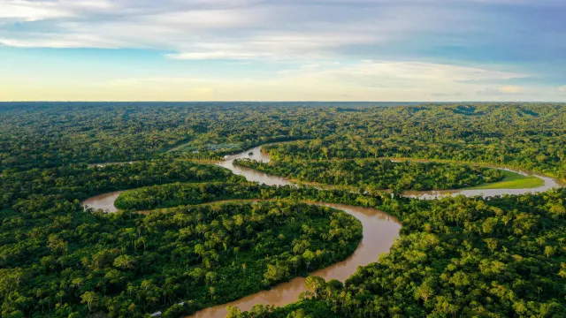 
                    Alertas de desmatamento na amazônia caem ao menor patamar da série histórica
                
