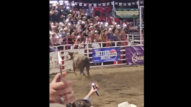 Vídeo: touro pula cerca de arena, causa caos e faz três feridos