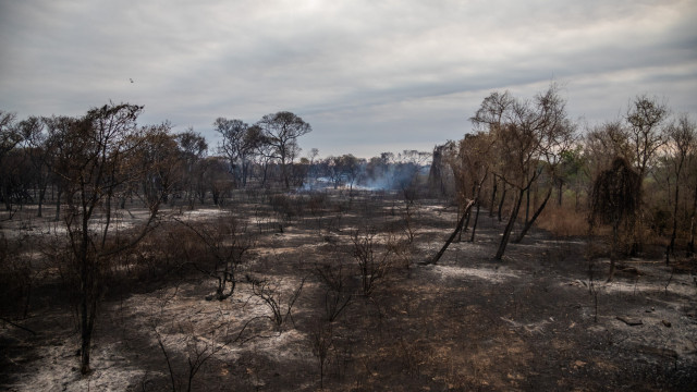 Após três temporadas de queimadas devastadoras no pantanal, Senado aprova projeto de manejo do fogo