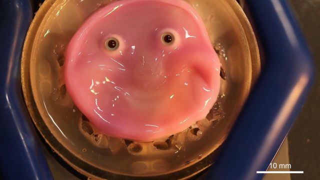Cara sorridente? Cientistas japoneses criam (arrepiante) pele artificial