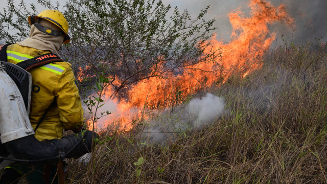 Mulher se torna bombeira após perder filho bebê em incêndios no Pantanal