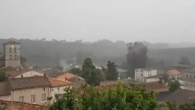 Raio atinge e destrói árvore centenária em França; o vídeo do momento