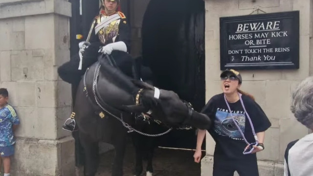 Mulher desmaia após ser mordida por cavalo da Guarda Real em Londres
