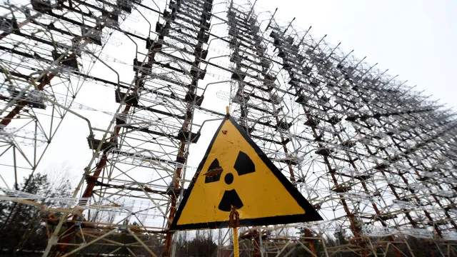 
                    Radiação mudou cães de Chernobyl? Como ciência explica alterações genéticas
                