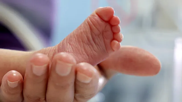 
                    Bebê prematuro morre após infecção por superbactéria, e hospital fecha UTI em Porto Alegre
                