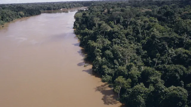 
                    Desmatamento na Amazônia cai 61,4% em maio de 2026
                