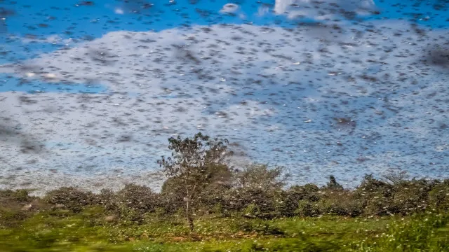 
                    Tempestade de Satanás? Eventos climáticos ultra raros que aconteceram de verdade
                