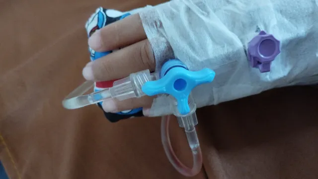 
                    Internações de crianças após mordidas de cachorro sobem 43% em 5 anos; veja cuidados
                