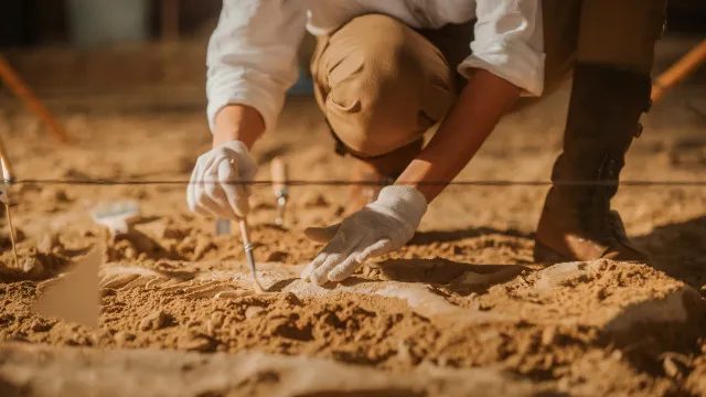 
                    Brasil quer recuperar dinossauros e patrimônios espalhados por 14 país
                