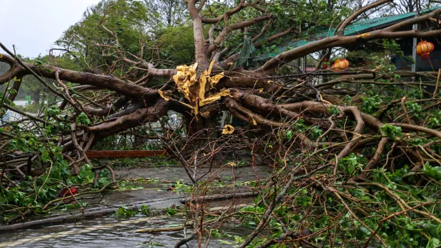 
                    China aguarda chegada de tufão enquanto ainda resgata vítimas da última tempestade
                
