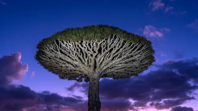 O destino mais alienígena da Terra