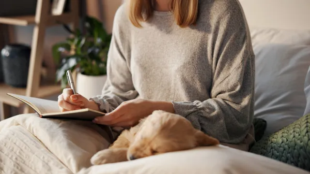 
                    O hábito esquecido que faz bem para a saúde emocional e do cérebro
                