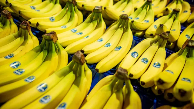 
                    Alimentos que ajudam a combater o refluxo e a azia
                