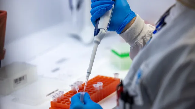 
                    Variante BA.3.2 da Covid oferece baixo risco, mas vigilância deve continuar, dizem especialistas
                