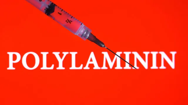 
                    Polilaminina: entenda a esperança e os testes ainda necessários
                