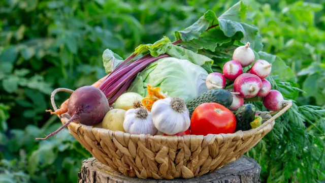 
                    Quer viver mais tempo? Nutricionista aconselha a comer este vegetal
                