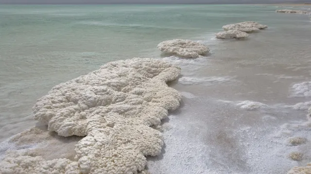 
                    O Mar Morto está despertando: o que isso significa para o mundo?
                