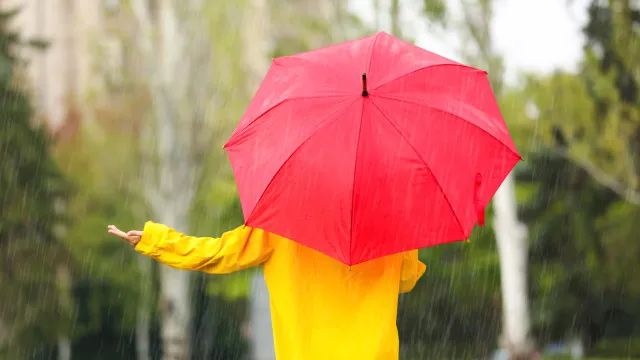 
                    Não gosta de chuva? 7 dicas para melhorar o seu humor em dias cinzentos
                