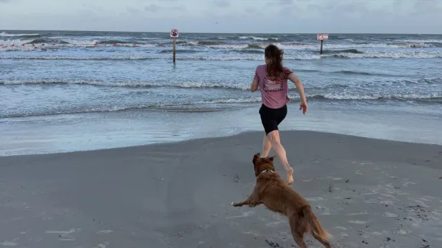 
                    Astronauta mostra reencontro com cadela após viagem de 10 dias até à Lua
                