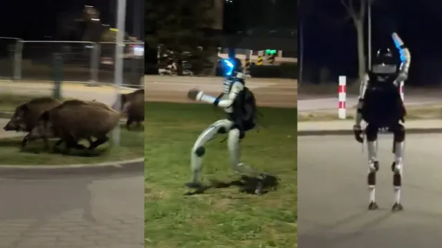 
                    Robô persegue javalis à noite e vídeo viraliza nas redes; veja
                