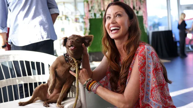 
                    Shannon Elizabeth tem faturamento milionário na estreia no OnlyFans
                