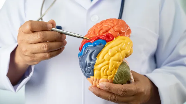 
                    Neurologistas alertam: 5 hábitos comuns que afetam a saúde do cérebro
                