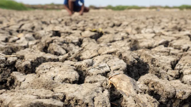 
                    El Niño começou e ficará intenso no final do ano, aponta agência dos EUA
                