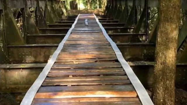 
                    Ponte ferroviária histórica desaparece em Prados (MG) e é achada a 180 km
                