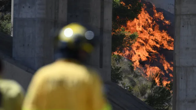
                    Europa enfrenta nova onda de calor, incêndios e alta nos alimentos
                