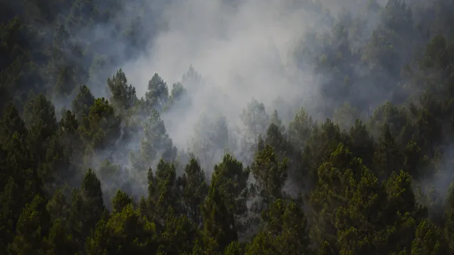 Incêndio na Espanha queima 13 mil hectares e expulsa centenas de casa